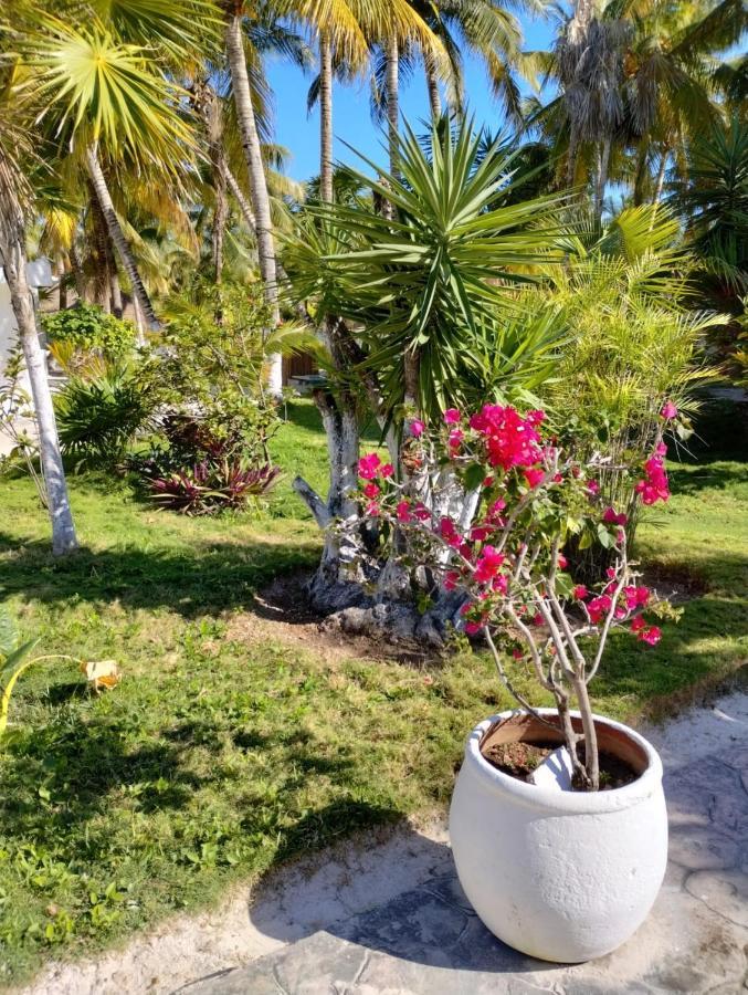 Alito Tulum Hotel Exterior foto
