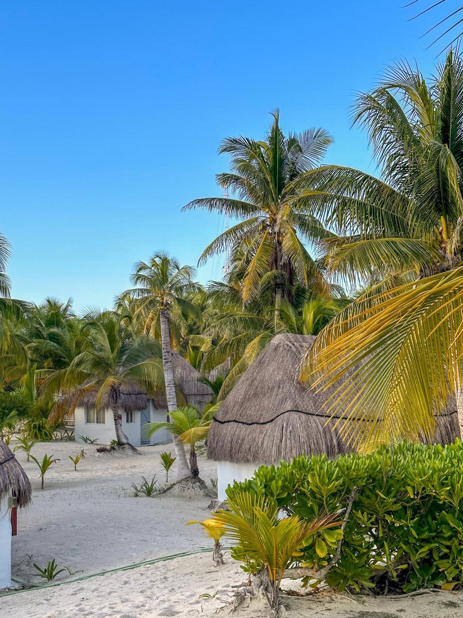 Alito Tulum Hotel Exterior foto